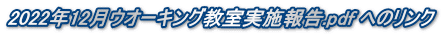 2022年12月ウオーキング教室実施報告.pdf へのリンク
